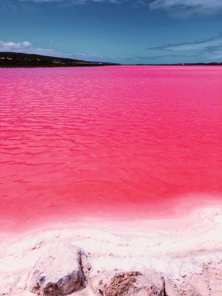 ružičasta laguna