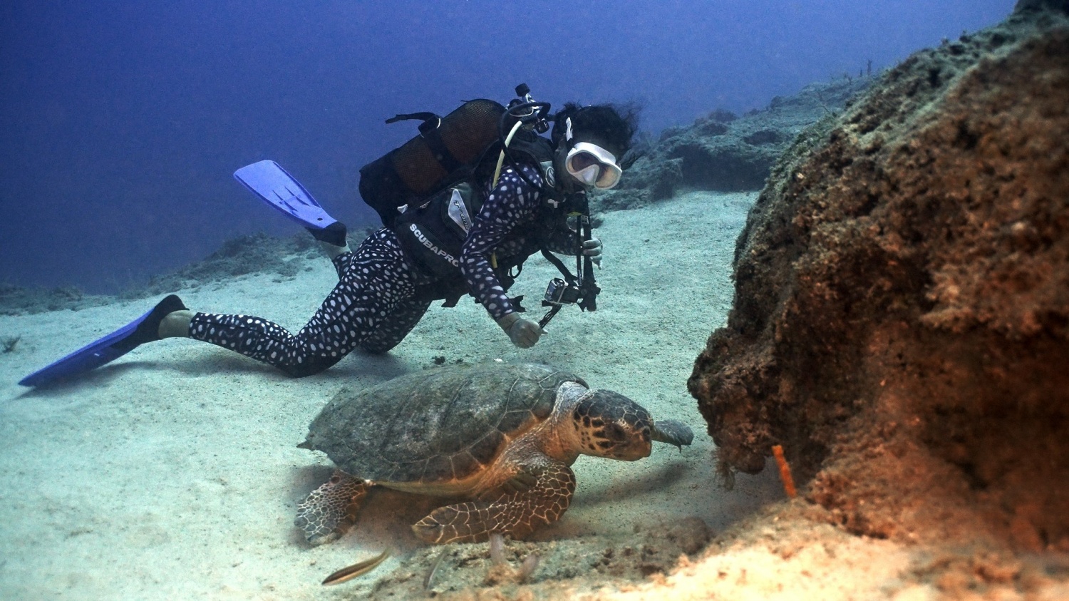 Kaş Diving 