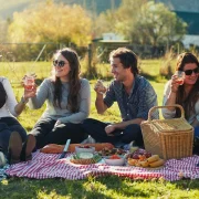 pepco piknik