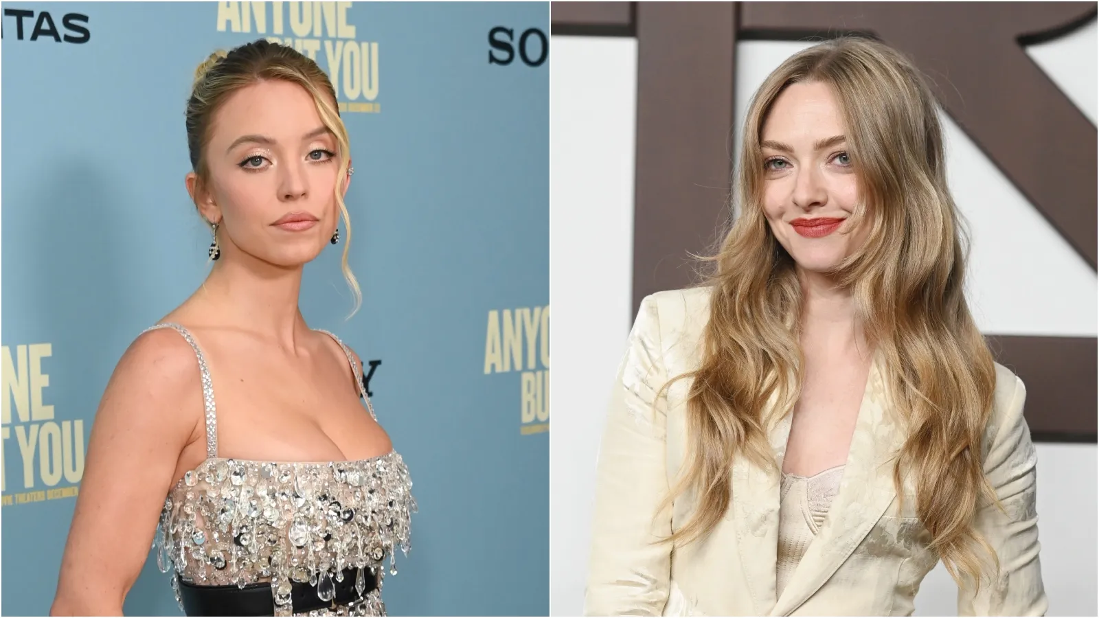 Sydney-Sweeney-Amanda-Seyfried-The-Housemaid