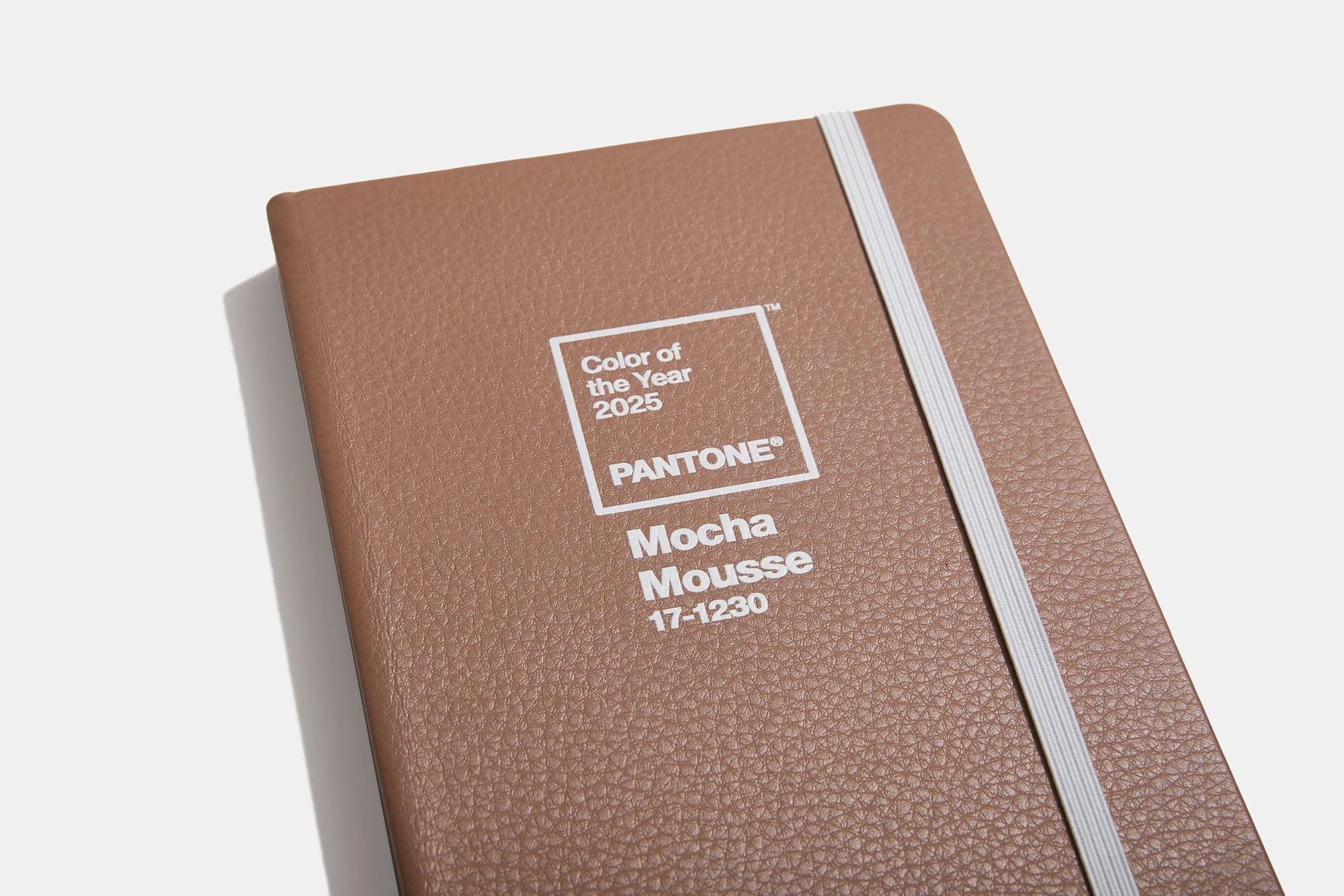 pantone-mocha-mousse-boja godine 2025