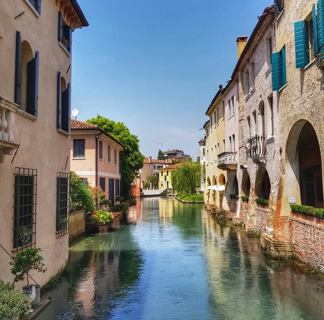 treviso